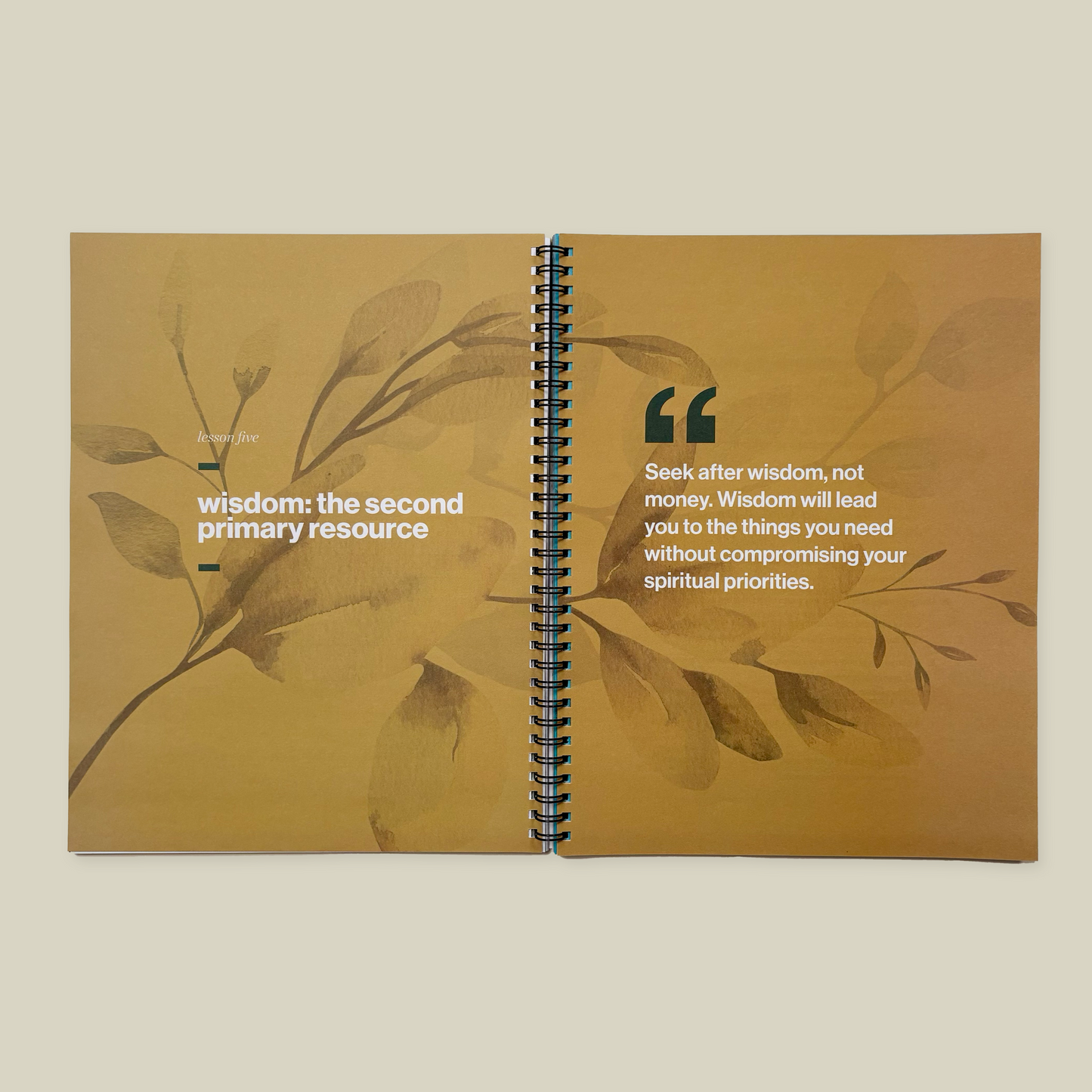 The Windows of Heaven Study Guide